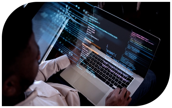 web development solution image