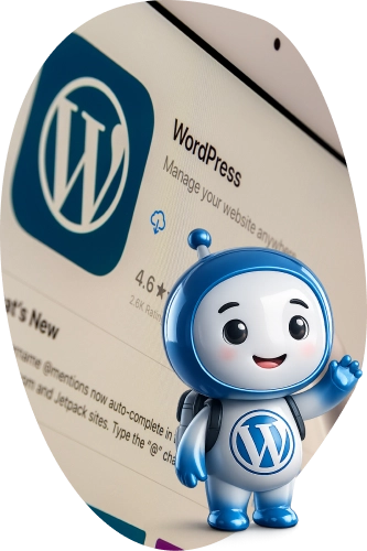 wordpress why dose sectio image