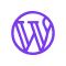 WordPress Development image